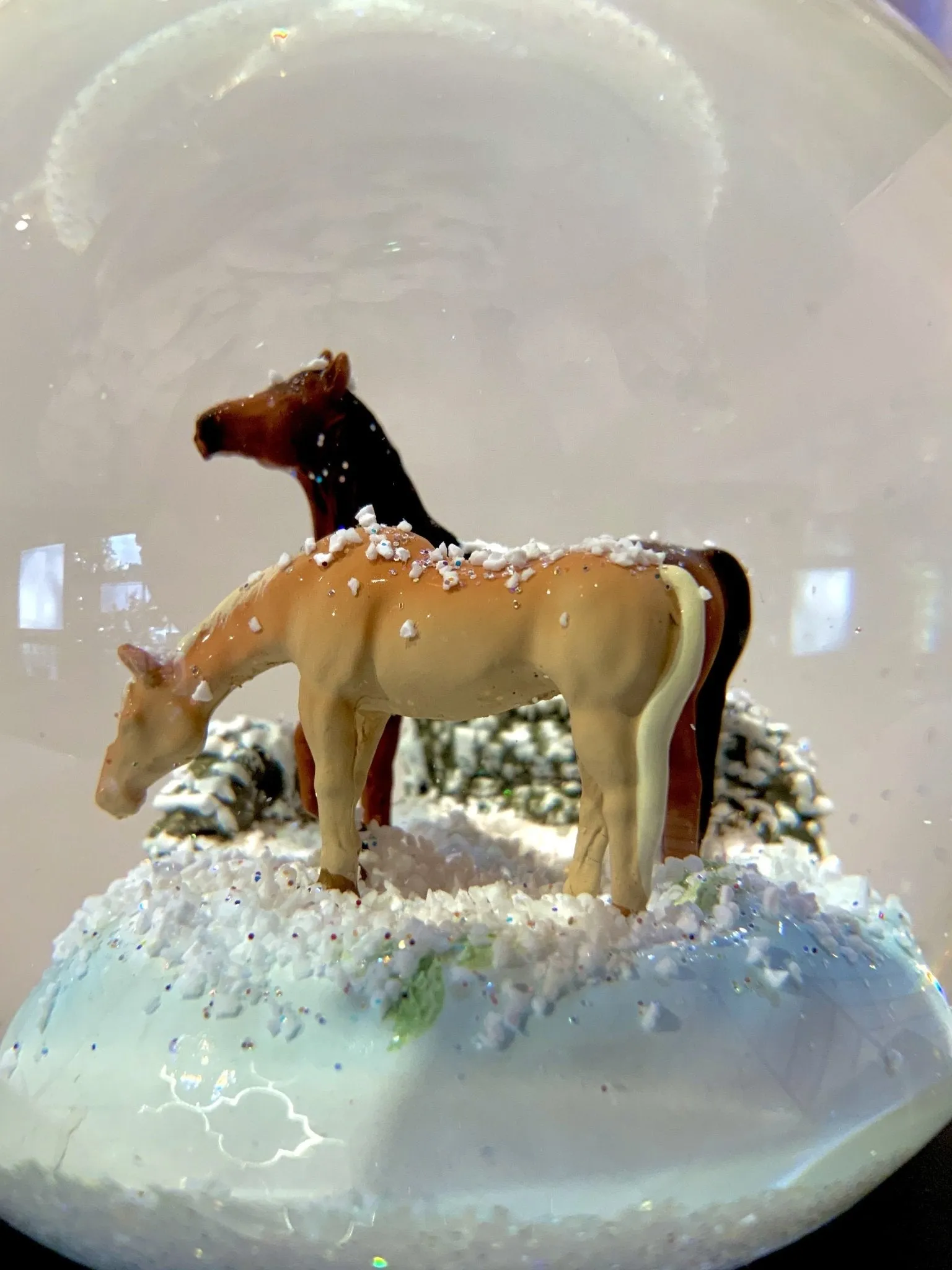 Two Horses Snow Globe